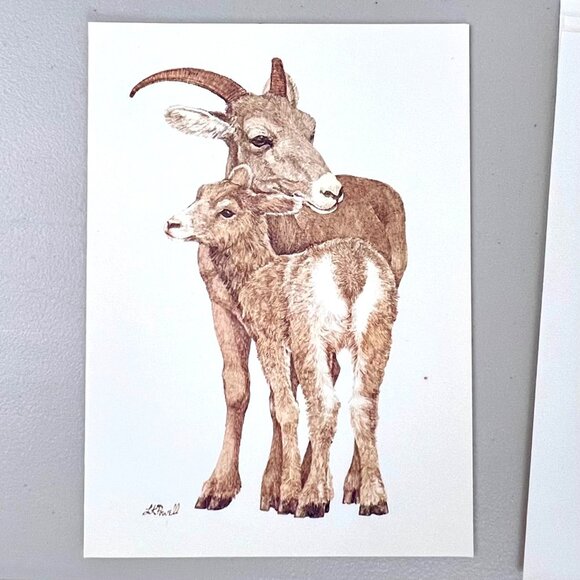 Vintage 1980's Current American Wildlife Ecology Set of 5 Blank Note Cards - Picture 9 of 9